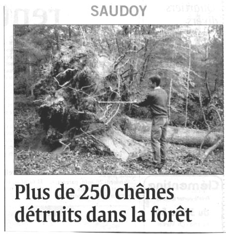 degt foret.2